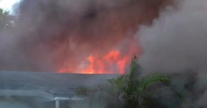 Hobe Sound family loses home, 2 dogs in fire