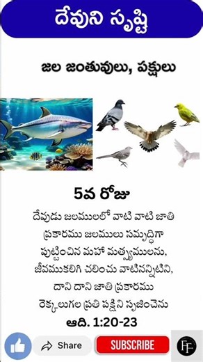 God’s Creation – Day 5 | Birds & Sea Creatures 🐦🌊