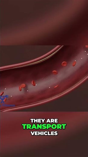 Cholesterol Myths BUSTED! LDL & HDL Explained Simply #shorts