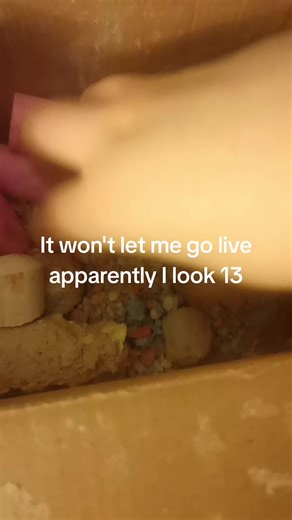 chalk crunching (@chalkcrunch)’s videos with original sound - chalk crunching