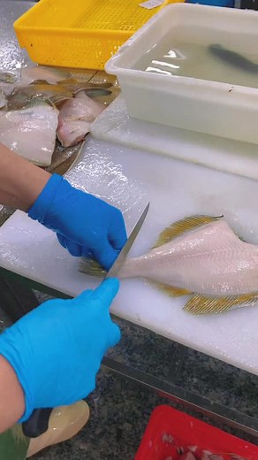 Fish Filleting Techniques for Beginners