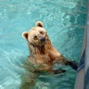 2.7 Presentation Livestream - 18/03 | 16:30 - Aion