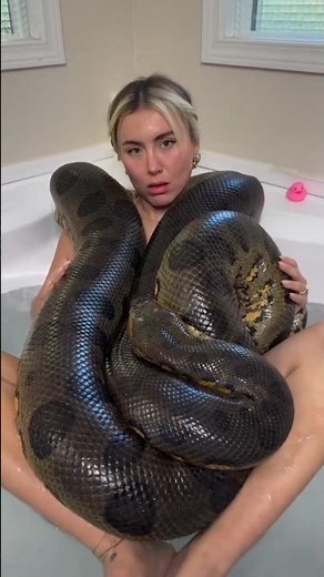 Was diese Python dieser Frau antun wollte, schockierte die Welt #python