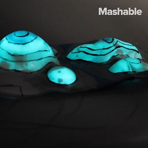 298K views · 157 reactions | This octopus-inspired skin could one day camouflage objects. | Mashable | Facebook