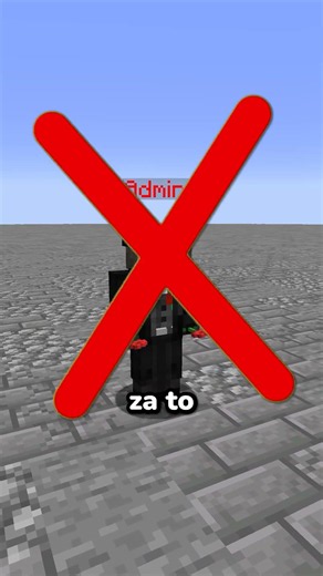 The Biggest CHEATER on a Minecraft Server