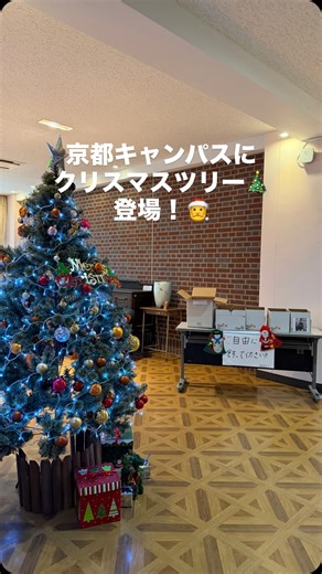 平安女学院大学 on Instagram: "京都キャンパスでは、クリスマスツリーがロビーに登場🎄 自分達で飾り付けができちゃいます☺️"