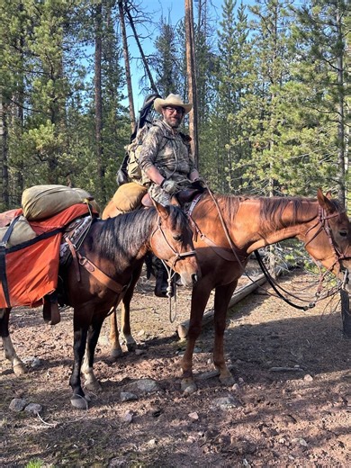 AQHA First Down Dash Dash To Fame Barrel Prospect | Horses | KSL Classifieds