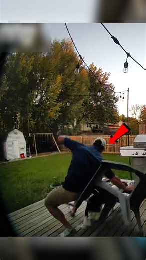 The Definition Of ‘It Was Going So Well…’!😂😂 | Humor Time