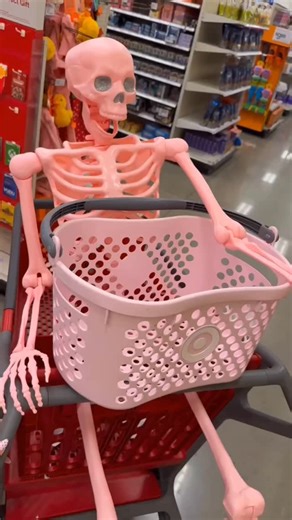 Target on Instagram: "Pink basket wanted to do a try-on haul for Halloween costumes with pink skeleton 💗🛒 What duo costume would you wear?"