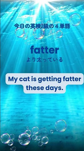 🌊寝落ちで覚える【英検2級】過去問英単語🌊2025年度第2回 大問１（5）