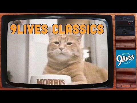 Morris the Cat: "Cuckoo-Clock" Classic Commercial