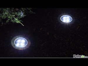 Stunning Solar LED Pathway Lights - Set of 2 How To Install Easy Stake Pathway Garden Lighting