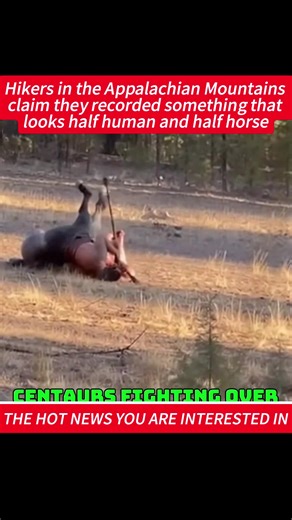 Hikers in the Appalachian Mountains claim they recorded something that looks half human and half horse. #localnews #horrortok #scary #scarytiktoks #creepy