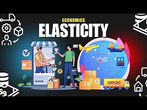 Elasticity in Economics Explained