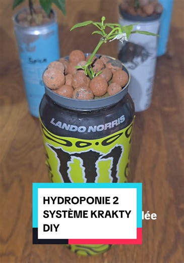Ne jette plus tes canettes ! 🥫✨ Voici comment créer un système d'hydroponie Kratky avec de la RÉCUP ! ♻️ Pas besoin de matériel cher, juste : • Un contenant (canette, bocal, bouteille)🥫 • Un pot troué (ou goulot de bouteille)🕳 • Des billes d'argile (ou petits cailloux)🪨 • De la laine de roche (ou coton)🐑 ⚠️ ASTUCE PRO : Peins ton pot s'il est transparent pour éviter les algues !🌿 🌱 Partie 2 bientôt : solution nutritive jeunes pousses ! Merci pour les 2000 ! 🙏❤️🌱 #hydroponie #kratky #pla