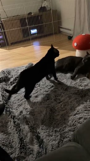 Revving his engine 😭