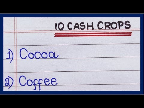10 Cash Crops | Names of Cash Crops | List of Cash Crops | Commercial Crops | Industrial Crops