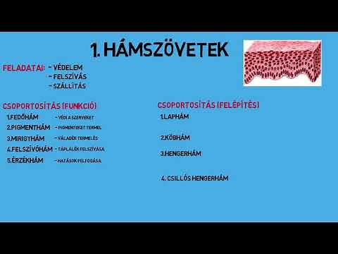 A SZÖVETEK - I.RÉSZ (HÁMSZÖVET)