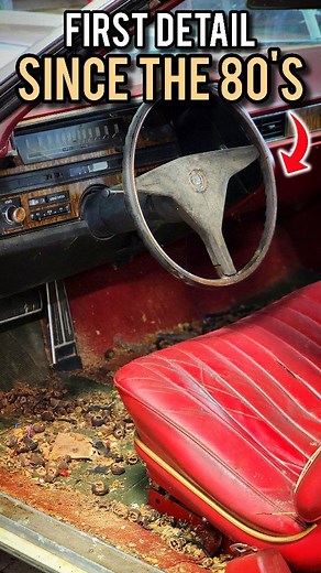 Dane Shemwell | Barn Find Detailer 🚘💕 on Instagram: "First Detail in 40 YEARS! 🚘💕 #ASMR Full Video on My YouTube Channel Link in Bio! 🎥🔥 #Satisfying #Detailing #DetailDane #CaddilacEldorado #ClassicCars #BarnFind #AbandonedCars . Subscribe to my YouTube Channel! 🎥🔥 LINK IN BIO 👀 . 💎 Buy @purocarcare 10% Off With Code "Dane10" . 🌐 SHOP ALL TOOLS LISTED: @silersales Use Promo Code "Detail_Dane" for 10% Off! 🤑 . 🔥 DETAILING PRODUCTS: @purocarcare 🌊 CARPET EXTRACTOR: @myteeproducts 💨 