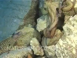 269K views · 764 reactions | International Fishing News on Reels | Facebook