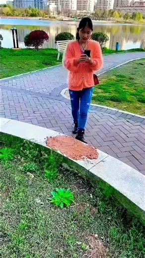 Alibaba Gadgets!🥰Tool Items, New Gadgets,Samrt Kitchen Appliances, Home Cleaning/ Inventions #shorts