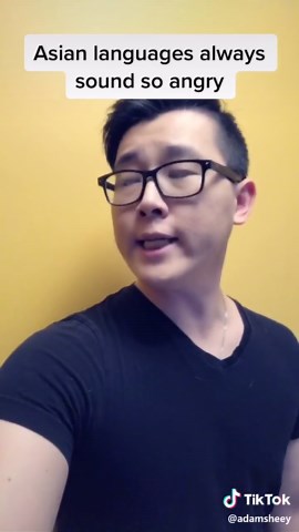 Understanding the Intensity of Asian Languages