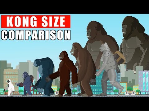 Kong Walking Size Comparison