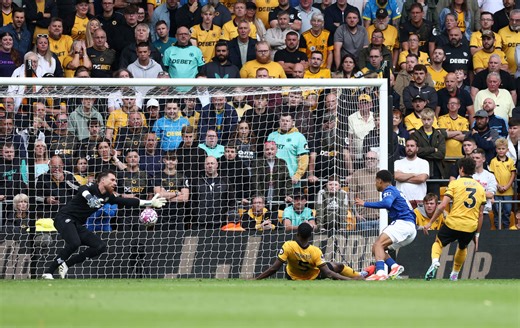 Wolves Fans' Verdict v Everton: A tough season ahead with lack of quality