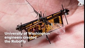 University of Washington engineers created the RoboFly, a small, flying robot that goes where humans can't