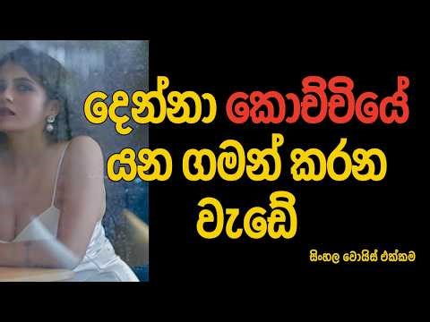 Wal Katha Sinhala දෙන්නා කෝච්චියේ යන ගමන් කරන වැඩේ - Sinhala story | Sri Lankan love story