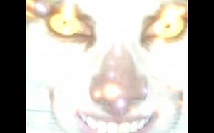 Monday left me broken但是一次性看个够