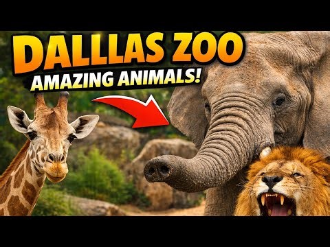 Dallas Zoo Full Tour | Elephants, Lions, Giraffes & More | Texas Travel Vlog🦁