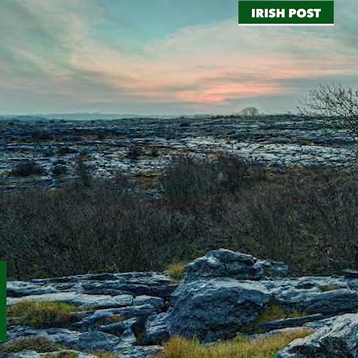 The Burren in Co. Clare offers a beautiful landscape full of interesting rock formations, flora and fauna. A must visit for any nature enthusiast 💚 | The Irish Post
