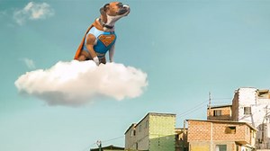 Create a Superdog image using Content Aware Move and Layer Editing