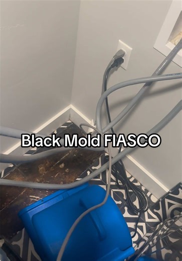 Totally a first world problem but I'm so sad about this! Our washer started leaking into our basement, so we moved it and there is black mold under our tile 😭 So now we have to pay for a new washer, and my favorite tile is gone! RIP! Now let's pray it hasnt grown into the walls! #blackmold