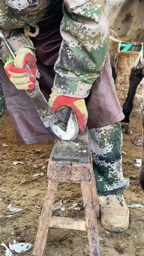 The master trimmed the donkey's hooves, making it look easy.