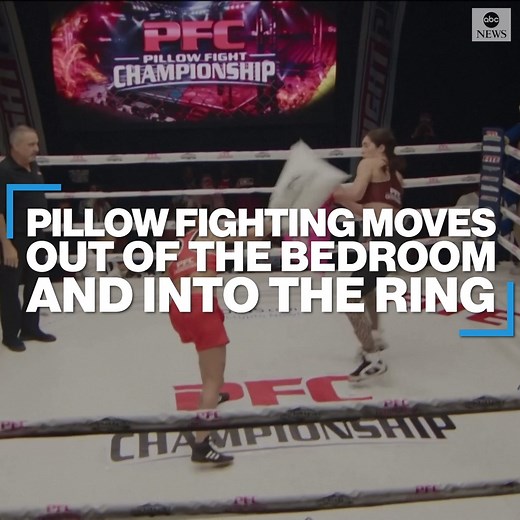43K views · 252 reactions | IT’S A KNOCKOUT: Pillow Fight Championship crowns its first ever champions in Florida as the children’s pastime turns into a professional combat sport. Each winner earned a title belt and $5000. https://abcn.ws/2Mp6pHp | ABC News | Facebook