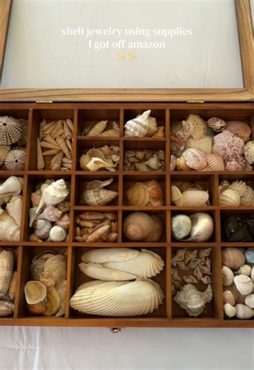 Handcrafted Shell Jewelry Creations