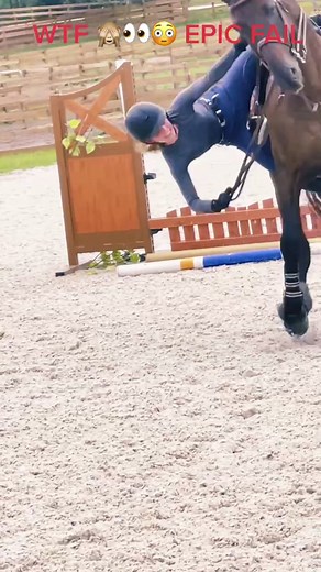 Happening to anyone else? My fault We kept saying whoa #horsesoftiktok #fallingoffahorse #fyp #besthorse #omg #epicfail #equestrian #jumper #fypシ #🙈