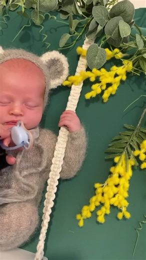 This sweet little man was perfection for his newborn shoot. I was asked to include a few family items so on the 3rd koala setup there are 2 little trinkets. One holds Grandmas’s ashes and the other is Grandpa’s Pounamu. Dad also asked for a photo with baby and his helmet, and he fit inside it beautifully. It’ll be so fun to one day see this same helmet on his head when he gets bigger 💙 *please no negative comments about the helmet shot, Dad was right there the whole time and he was so snug he w