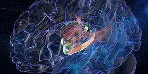 Stimulating the Brain’s Emotional Center Enhances Memory