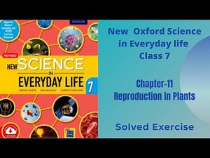 Class 7 | Chapter-11 | Reproduction in Plants | New Oxford Science in Everyday life