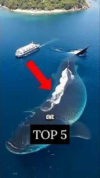 These Fish Were Thought To Be Extinct!