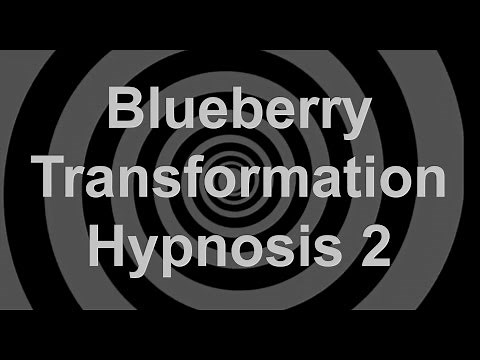 Blueberry Transformation Hypnosis 2