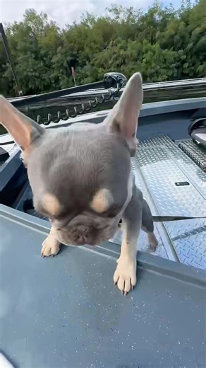 Always a good morning taking my boys out on the boat! #gorgegoons #bass #fishing #pnw