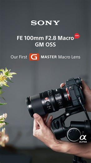 341K views · 1.1K reactions | ANNOUNCEMENT: Introducing the new FE...