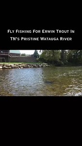 1.1K views | Fly Fishing For Erwin Trout In TN’s Pristine Watauga River (Short clips) #smoky_mountain_fishing #fishing #riverfishing #troutfishing #flyfishing | Ben Krantz | Facebook