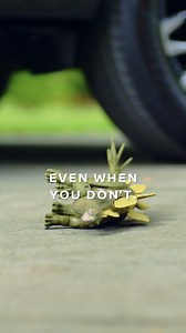 The available Intelligent Around View® Monitor in the Rogue helps you to see a 360º view of what’s around you. | Nissan