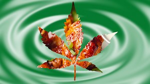 Postmates makes 4/20 its best brand holiday with a hoodie built for eating takeout