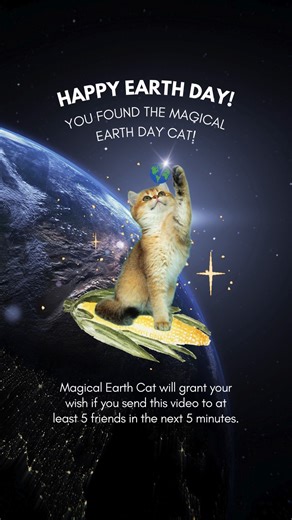 5.8K views · 66 reactions | Magical Earth Cat also says you should switch to World’s Best Cat Litter because it’s made from sustainable corn – AKA it’s pet, people, and planet friendly. | World's Best Cat Litter | Facebook